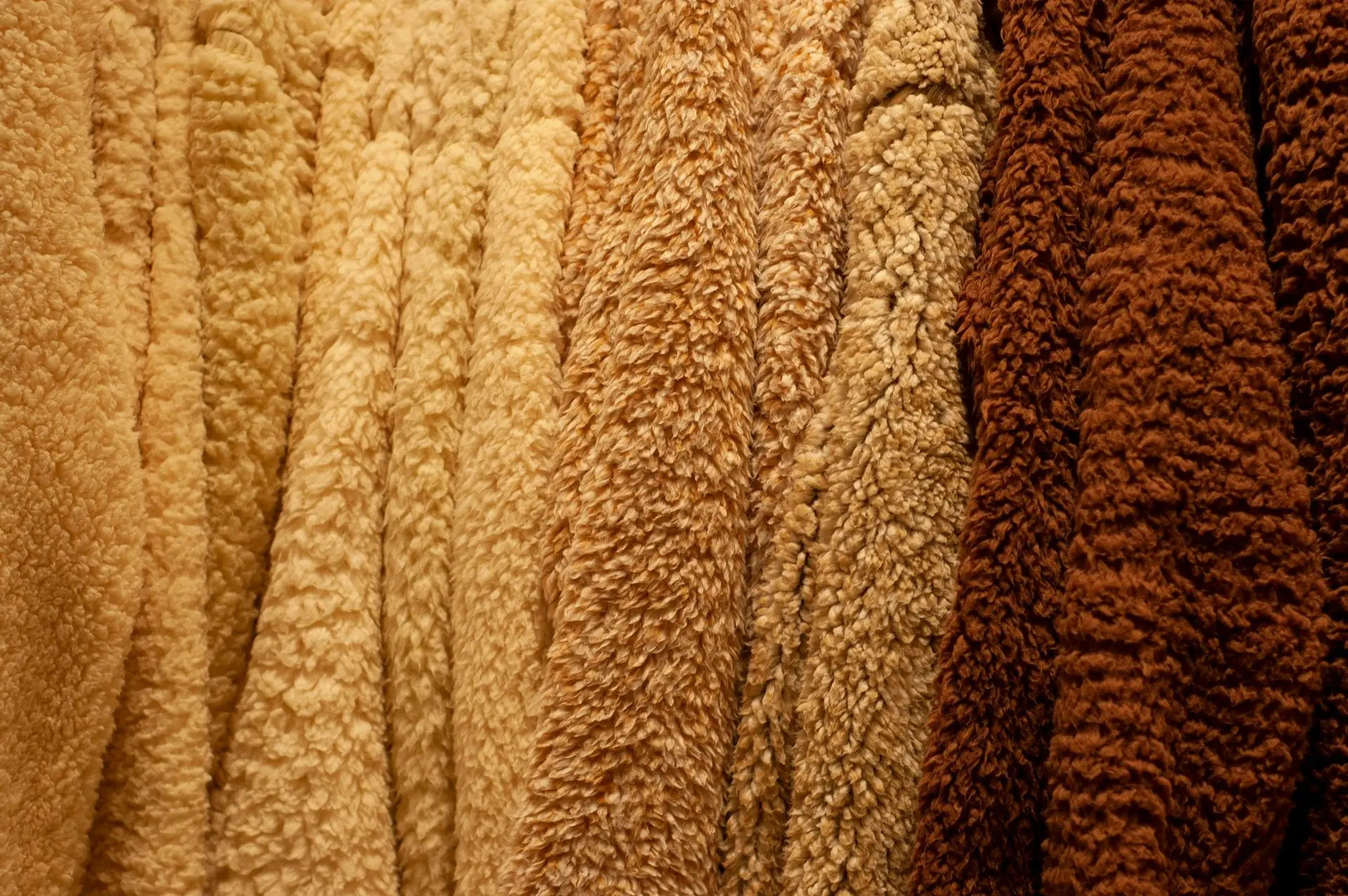 Understanding Carpet Fibre Types