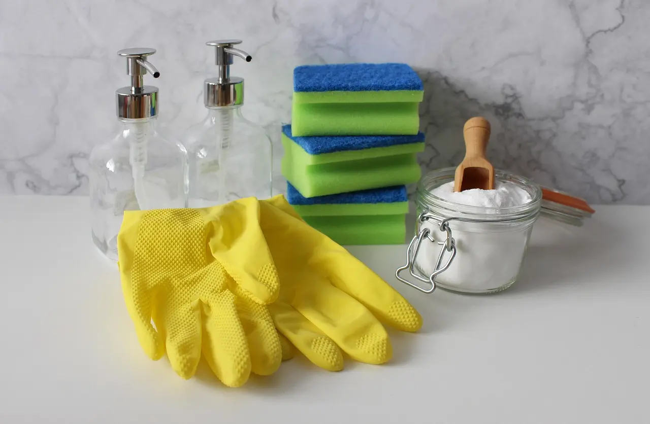 Carpet Maintenance and Cleaning Tips
