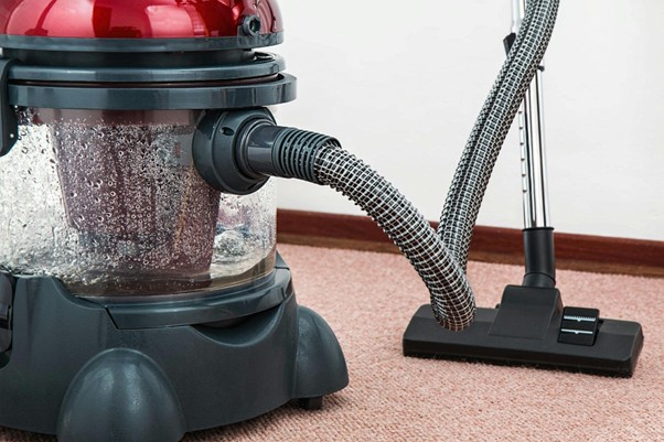 Vacuum Regularly  ​