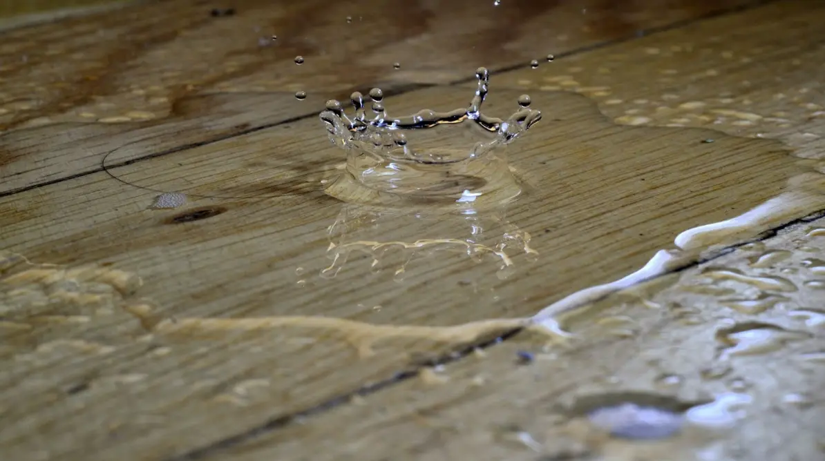 water resistance of timber vs carpet